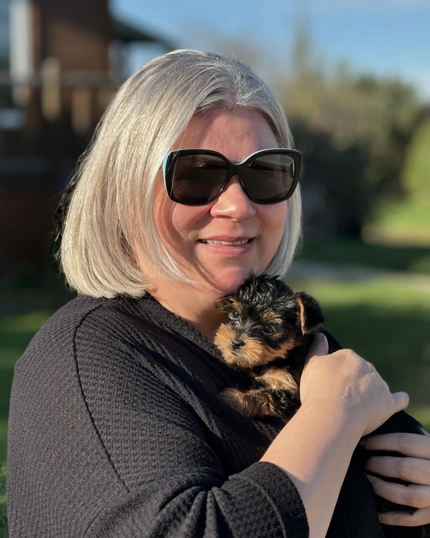 Teacup Yorkie Puppies For Sale